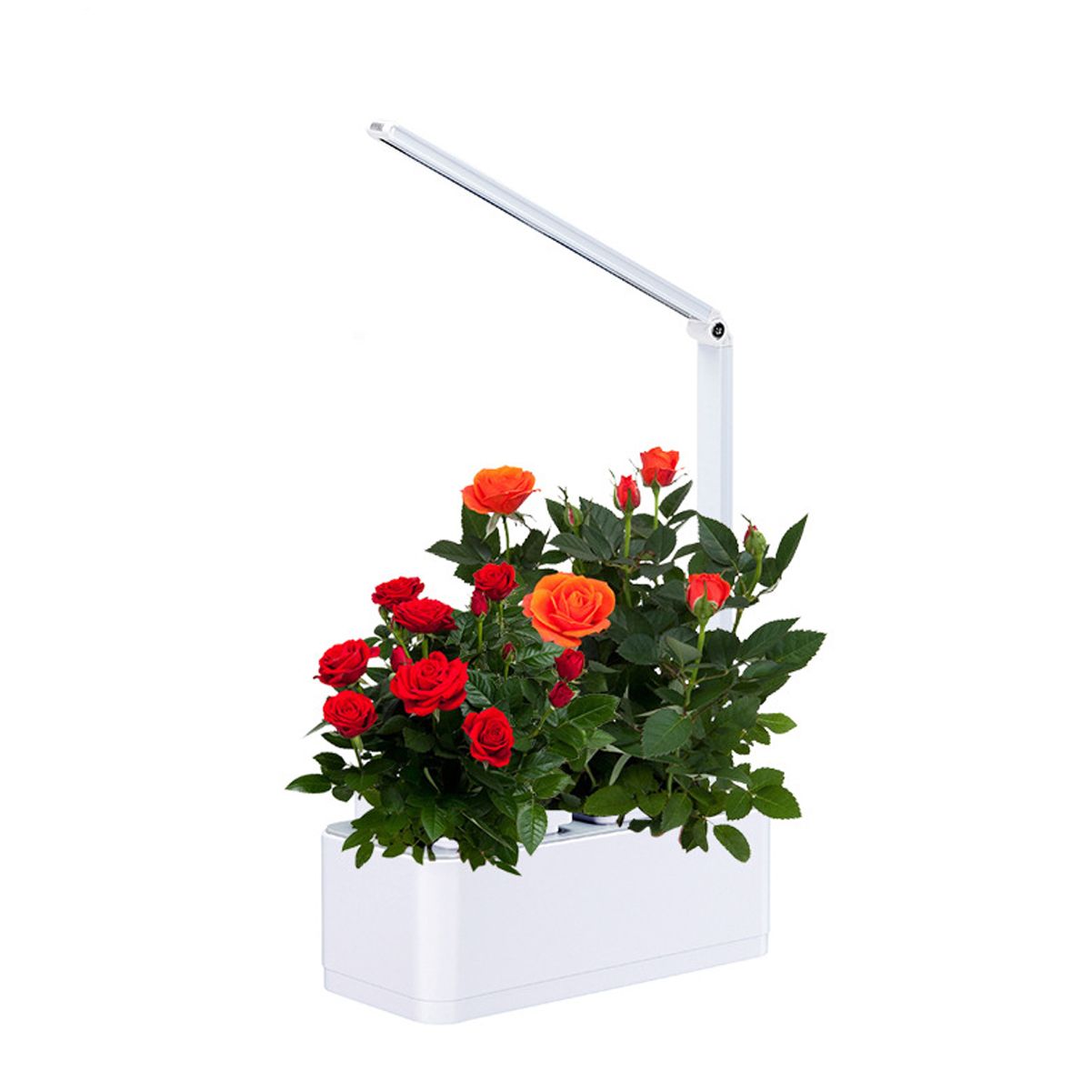 8W-LED-Hydroponics-Indoor-Home-Plant-Grow-Box-Soilless-Garden-Flower-Nursery-Pot-1695067