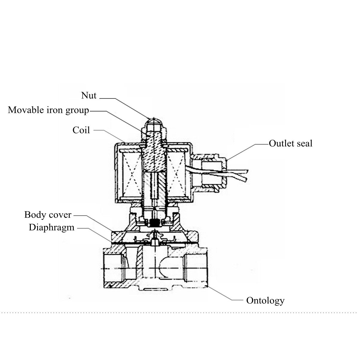 AC-220V-Electric-Solenoid-Valve-2W20-Stainless-Steel-For-Water-Gas-Air-Oil-1346635