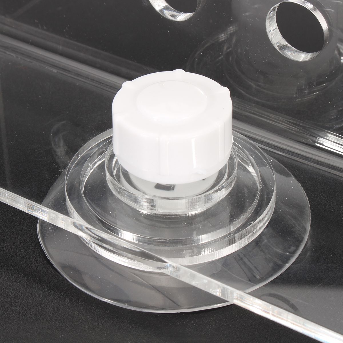 Acrylic-Aquarium-Coral-Frag-Plugs-Rack-Stand-Bracket-Holds-Live-Fish-Tank-Suction-Cup-1378420