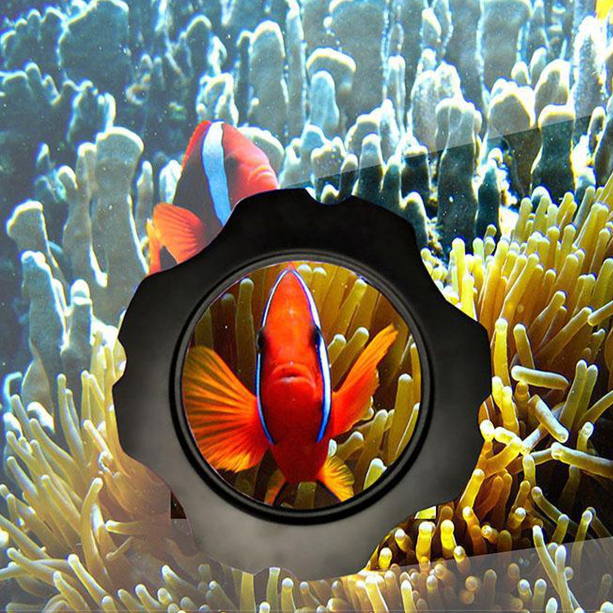 Aquarium-Magnetic-Fish-Tank-Glass-Cleaner-Scraper-Magnifier-Up-to-15mm-1352035