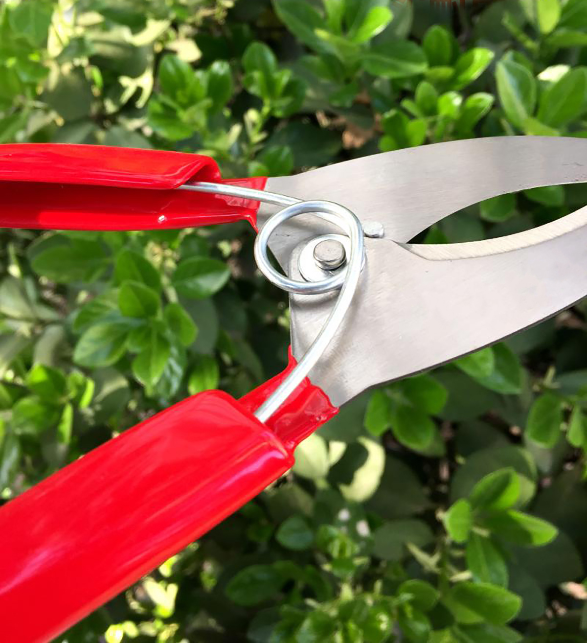 Garden-Grafting-Cut-Tool-Kit-Fruit-Tree-Stainless-Steel-Pruning-Shears-Scissor-1614728