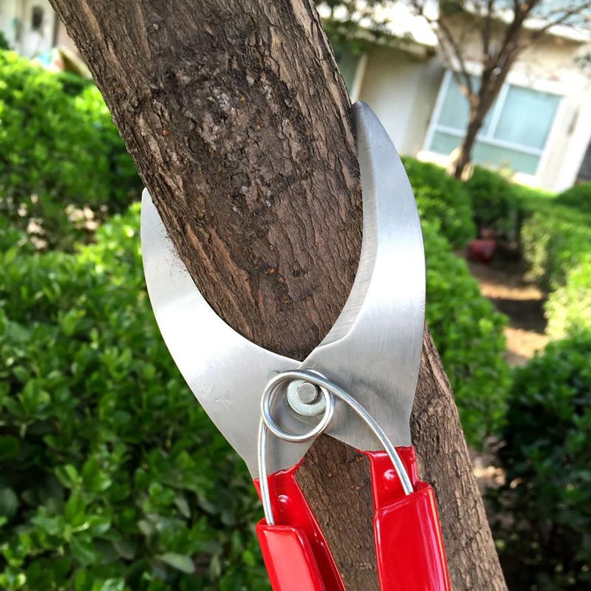 Garden-Grafting-Cut-Tool-Kit-Fruit-Tree-Stainless-Steel-Pruning-Shears-Scissor-1614728