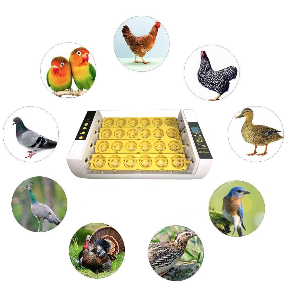 Home-Farm-Digital-24-Egg-Incubator-Automatic-Eggs-Hatcher-Temperature-Control-1762517