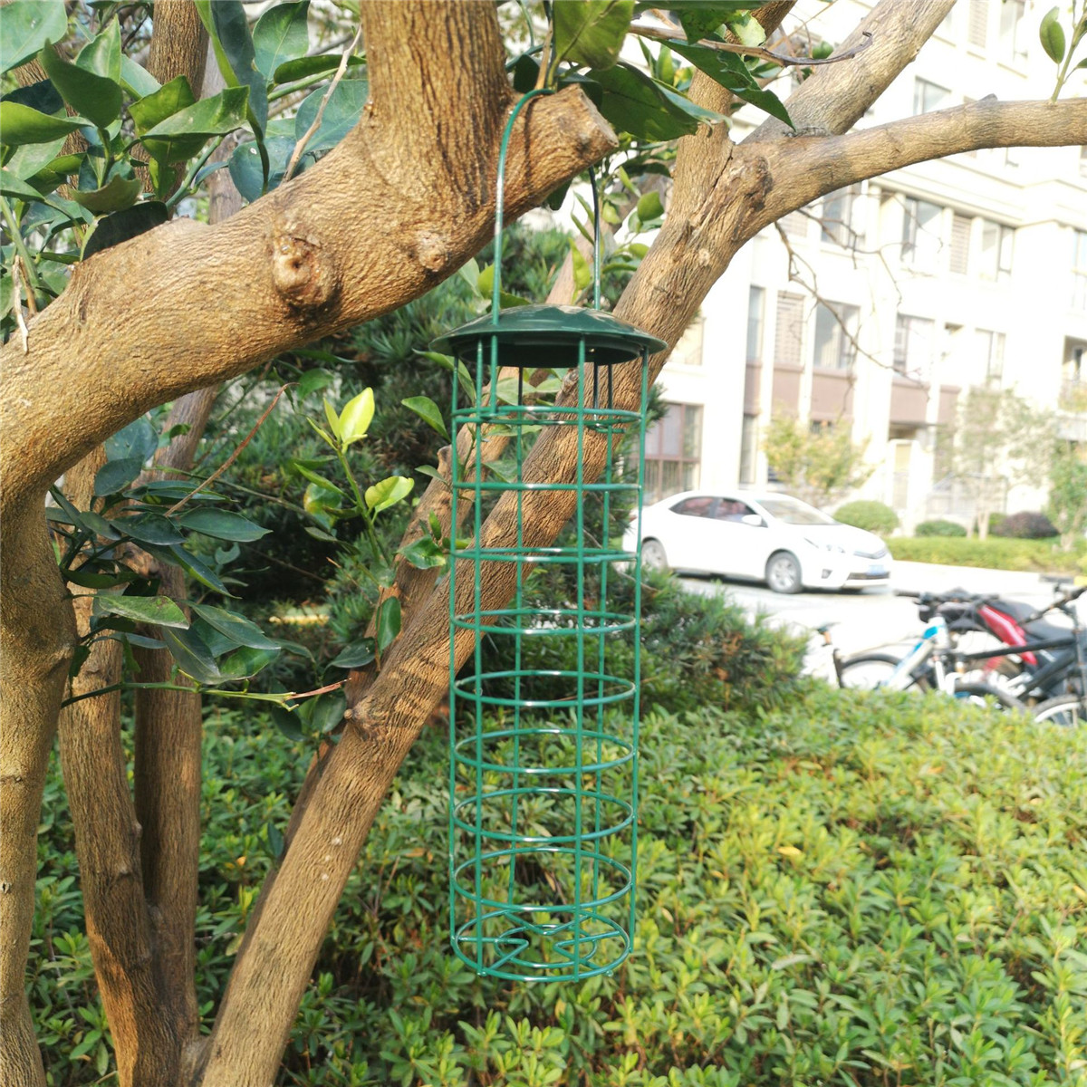 Outdoor-Bird-Feeder-1752004