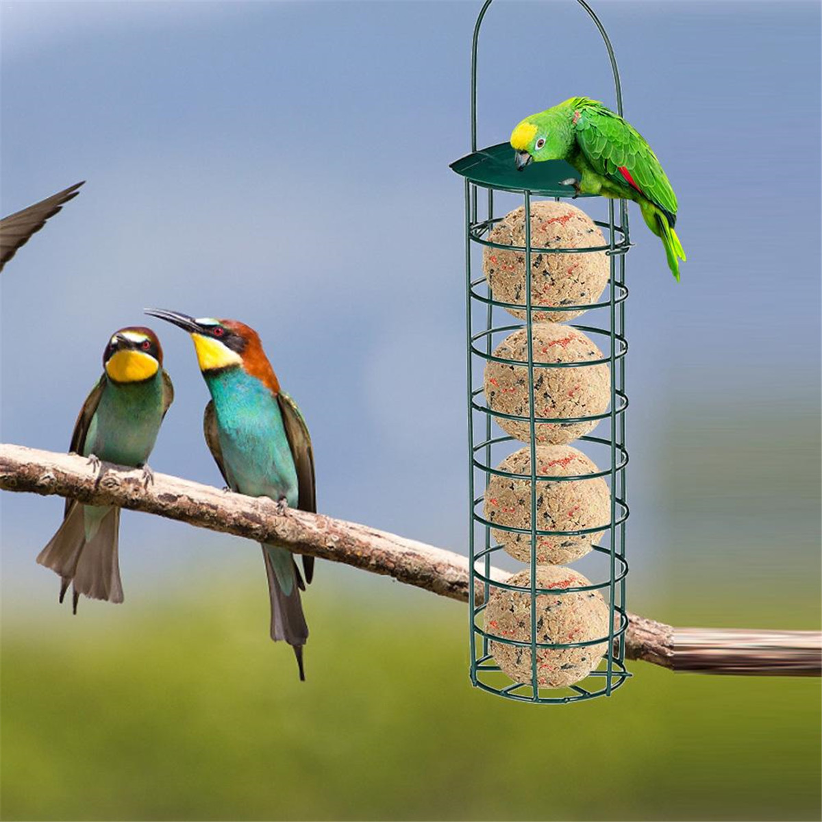 Outdoor-Bird-Feeder-1752004