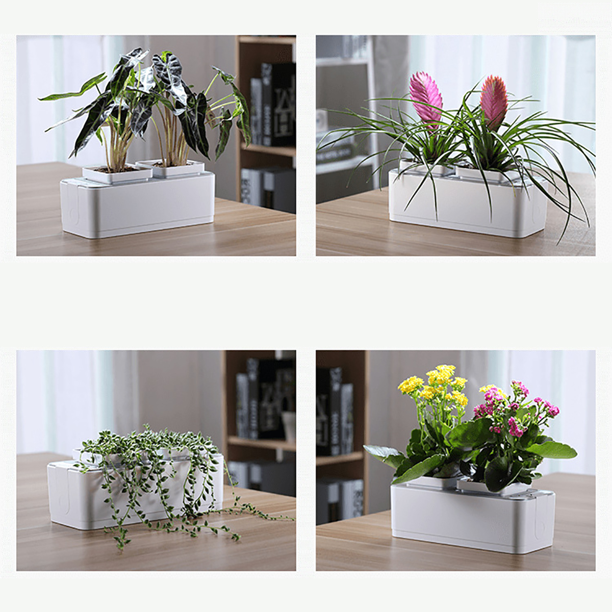Smart-Indoor-Herb-Garden-Hydroponics-Growing-System-self-Watering-Planter-for-HerbsVegetableFlower-H-1715894