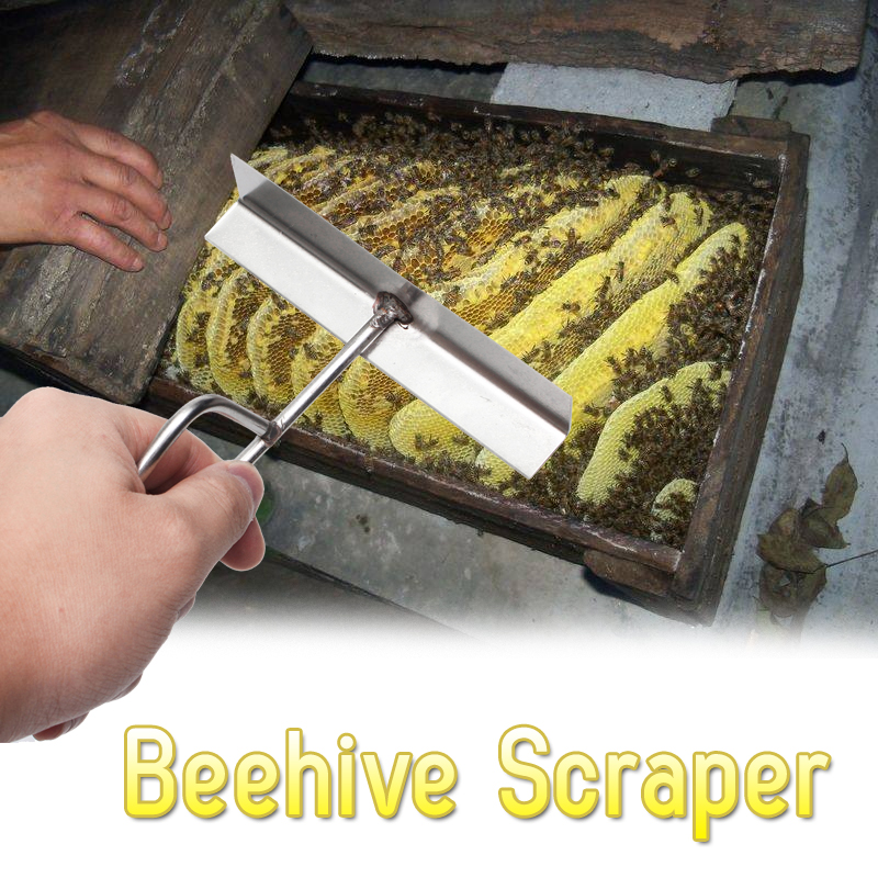 Stainless-Steel-Bee-Hive-Honey-Scraper-Beekeeping-Equipment-Pry-Uncapping-Tool-Beekeeping-Tools-Set-1349696