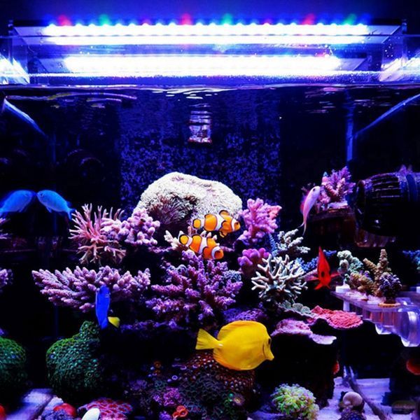 A201M-12W-20CM-5730-36SMD-1400LM-LED-Coral-SPS-LPS-Aquarium-Sea-Reef-Fish-Tank-Light-Lamp-1057819