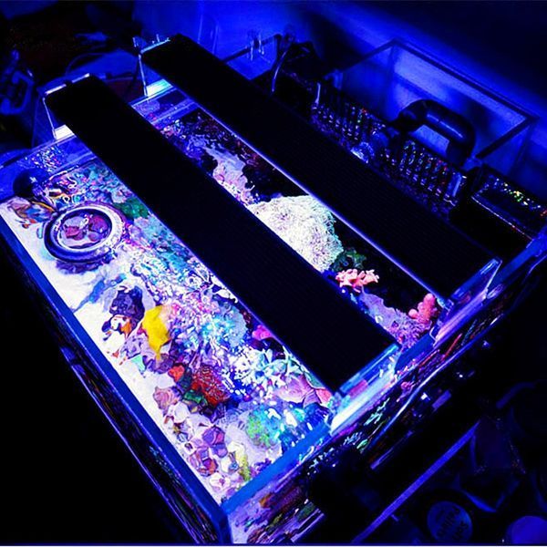 A201M-12W-20CM-5730-36SMD-1400LM-LED-Coral-SPS-LPS-Aquarium-Sea-Reef-Fish-Tank-Light-Lamp-1057819