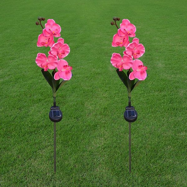 Solar-Power-5-LED-Flower-Light-Outdoor-Garden-Yard-Lawn-Landscape-Lamp-Decor-1138048